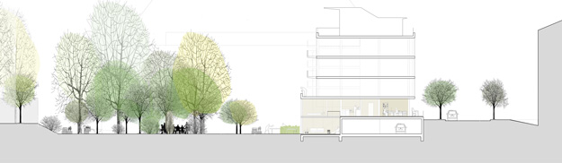 Site section with existing garden